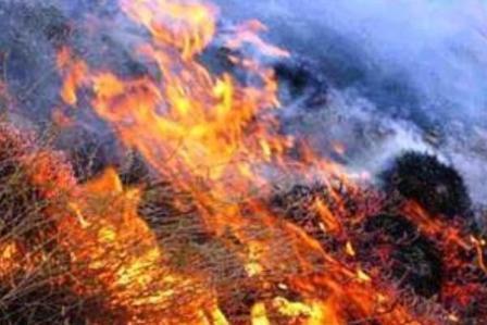 آتش‌سوزی در منطقه حفاظت شده خانگرمز تویسرکان