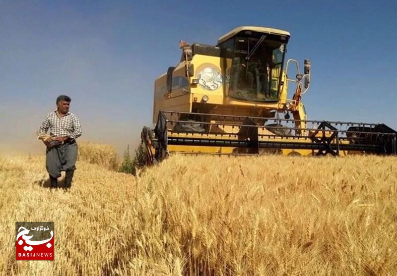 5 درصد مطالبات گندمکاران اردبیل باقی مانده است 5 درصد مطالبات گندمکاران اردبیل باقی مانده است