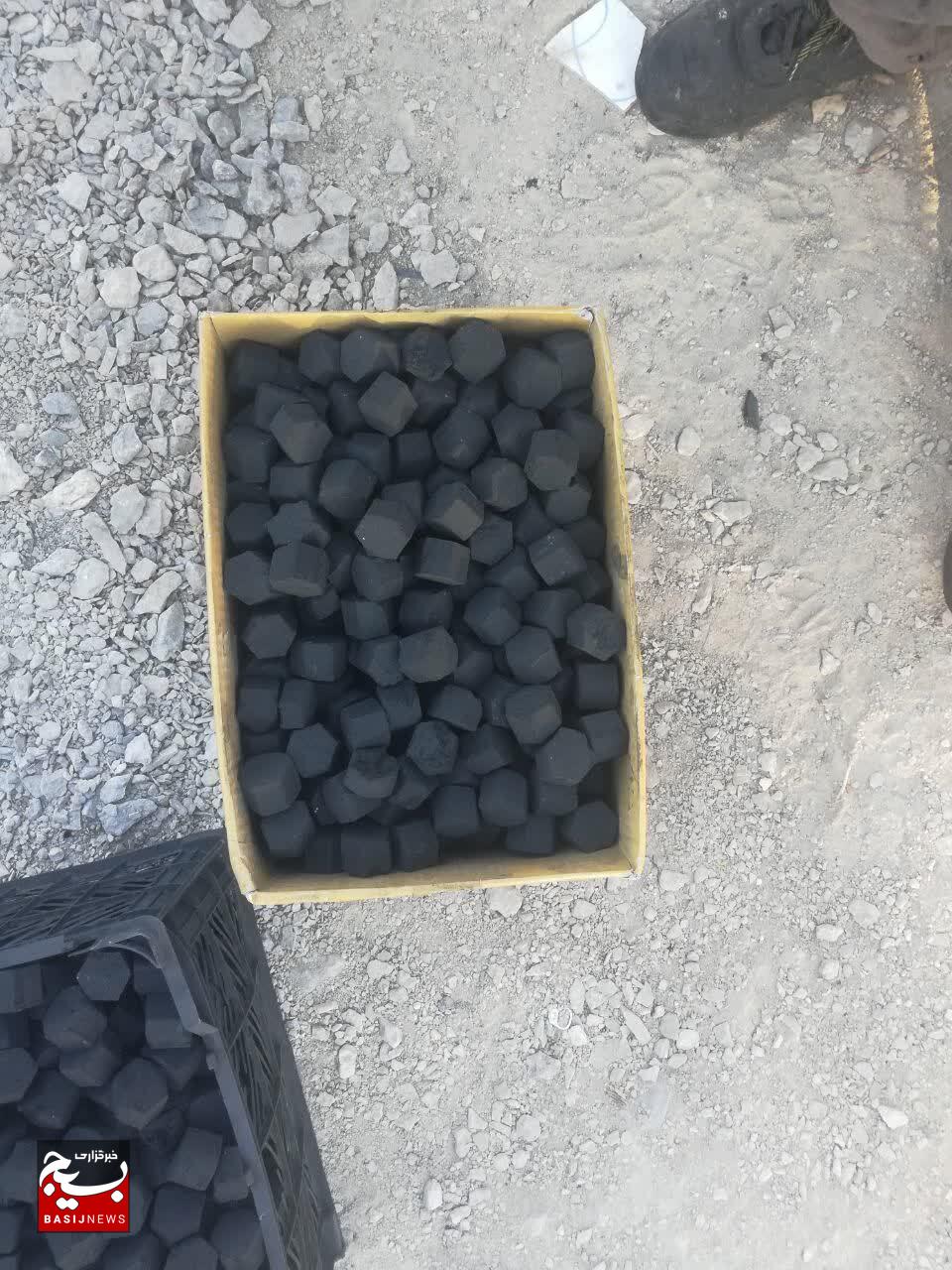 از ضایعات تا امید؛ کارآفرین فارس با نوآوری سبز، درختان و زندگیها را نجات میدهد از ضایعات تا امید؛ کارآفرین فارس با نوآوری سبز، درختان و زندگیها را نجات میدهد