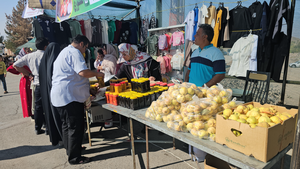 برگزاری جشنواره انار خانوک با ۱۶۰ غرفه