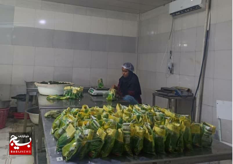 کارآفرینی بانوی هرمزگانی برای توانمندسازی زنان/ از یک کارگاه کوچک تا امیدبخشی به دهها خانواده در بندرعباس کارآفرینی بانوی هرمزگانی برای توانمندسازی زنان/ از یک کارگاه کوچک تا امیدبخشی به دهها خانواده در بندرعباس