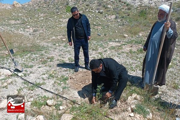 غرس نهال به یاد شهدای جنگ رمضان در کنگان