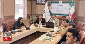 توسعه ورزش کارمندان قزوین، راهبرد ارتقای سلامت و نشاط اجتماعی 