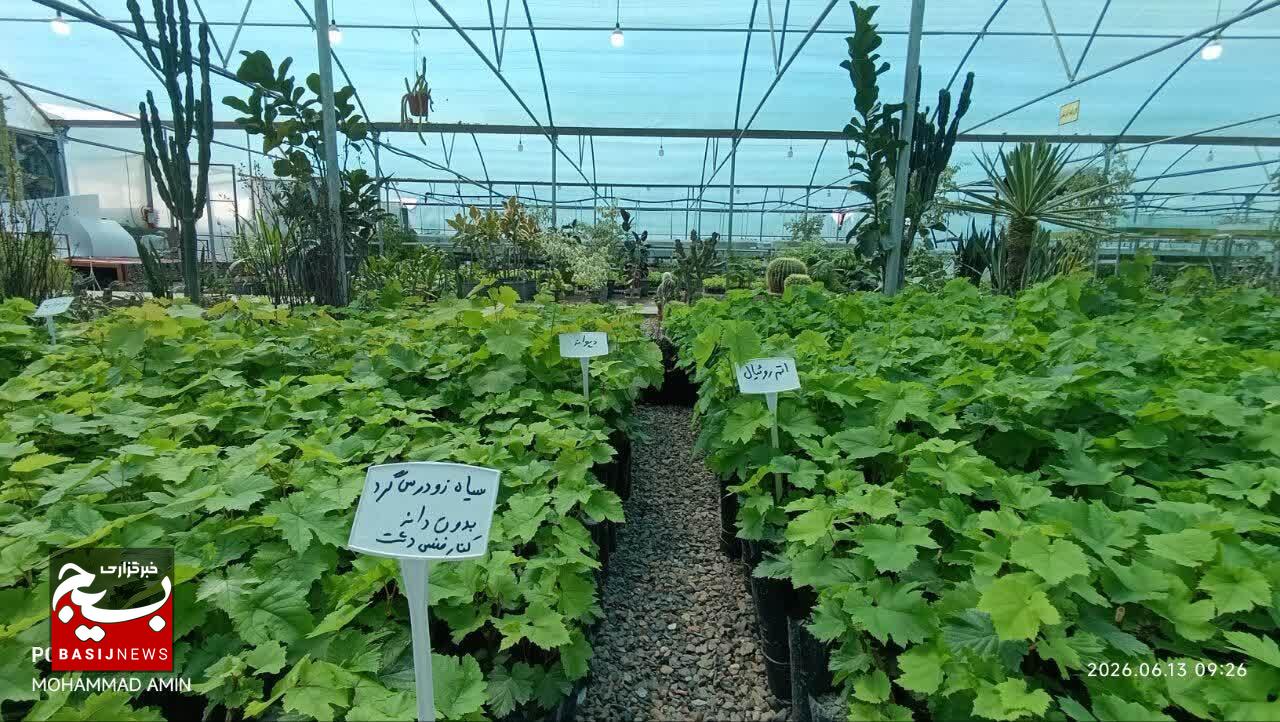 از توسعه اقتصاد مقاومتی تا خدمترسانی جهادی در میادین ولایی از توسعه اقتصاد مقاومتی تا خدمترسانی جهادی در میادین ولایی