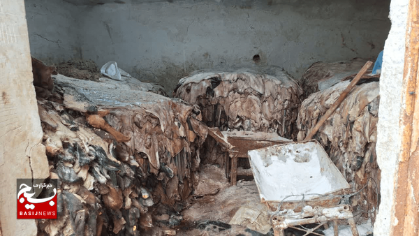 کشف انبار گوشت فاسد در اردبیل کشف انبار گوشت فاسد در اردبیل