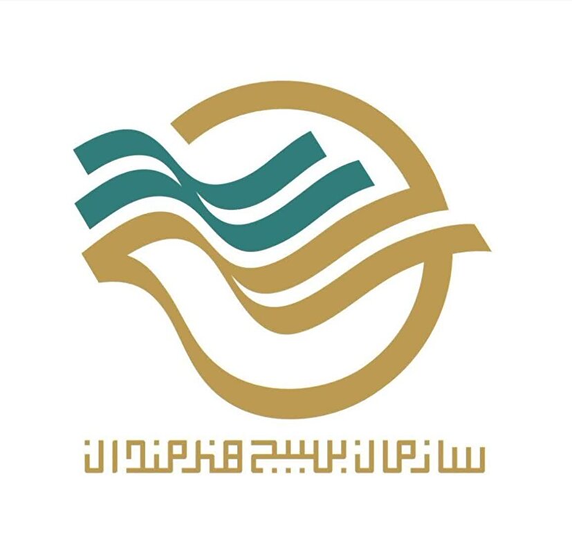 به همت بسیج هنرمندان ۳۴ عکاس و دو عکاس خارجی آیین‌های بدرقه رهبر شهید حضرت آیت‌الله خامنه‌ای را ثبت می‌کنند