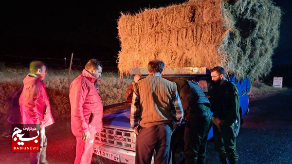 نجات ۲ فرد مفقود شده در جنگل فندقلوی نمین نجات ۲ فرد مفقود شده در جنگل فندقلوی نمین
