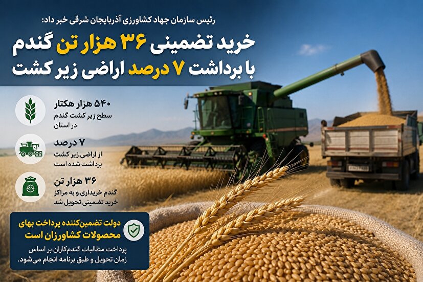 آغاز عملیات برداشت گندم در آذربایجان شرقی