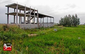 شناسایی ۸۲۲ مورد تغییر کاربری غیرمجاز در اراضی کشاورزی قزوین