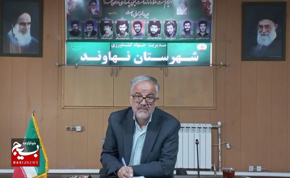 پیش‌بینی برداشت ۱۵۰ تن تخمه آجیلی در قطب بی‌رقیب غرب کشور