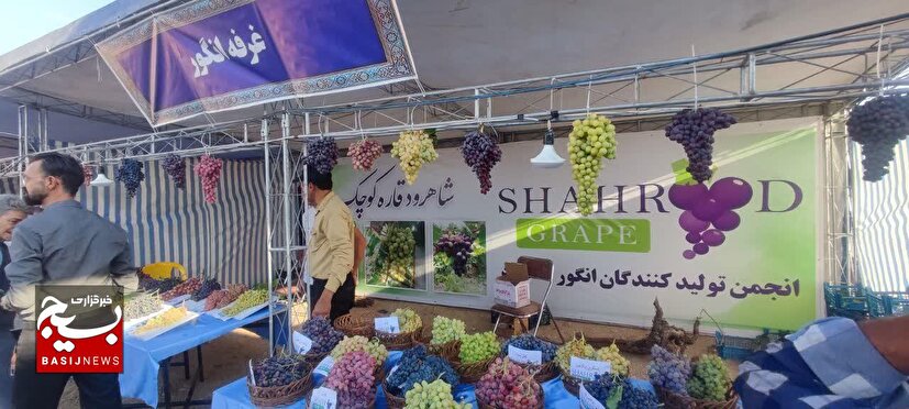 رویان میزبان جشن شکرانه انگور و رونمایی از کتاب «رویان؛ جامعه و فرهنگ»