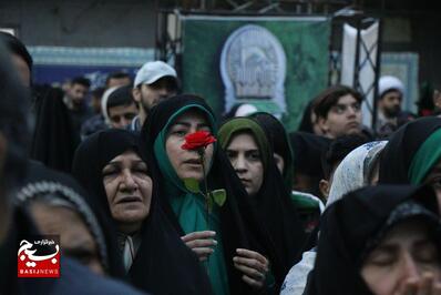 کاروان زیر سایه خورشید
