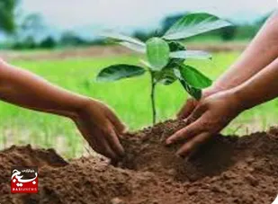 دعوت به مشارکت در روز درختکاری؛ گام به سوی آینده&zwnj;ای سبزتر در بوستان کرامت