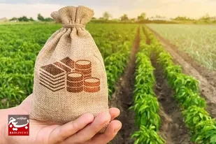 اختصاص یک هزار و ۸۴۰ میلیارد ریال به بخش کشاورزی سیستان و بلوچستان