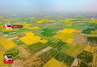 هشدار داستانی به مسئولان دولتی برای واگذاری زمین به سرمایه&zwnj;گذاران