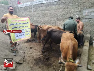 خدمت جهادگران به مردم مسئولیتی بدون چشمداشت/ از جهادگری تا جذب سرمایه گذار