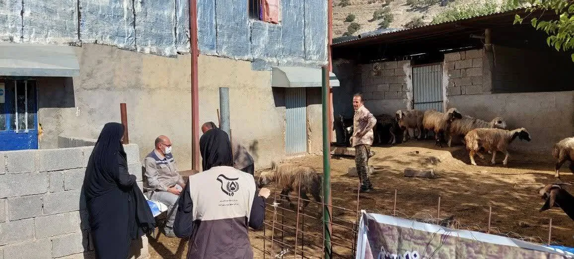 خدمات رسانی تخصصی دامپزشکی و زراعت گروه جهادی کانون بسیج جامعه کشاورزی در شهرستان باشت
