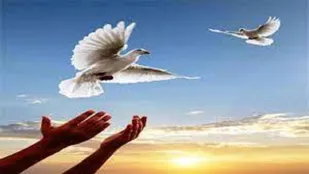 رهایی هشت زندانی جرایم غیر عمد در مراغه
