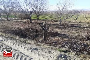 دو محور پرخطر اسدآباد ایمن سازی شد