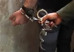شکارچی غیرمجاز 36 راس بز وحشی