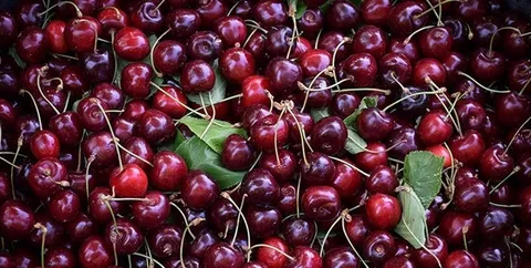 یک تازی نوبرانه‌ها در بازار