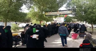 موکب محبین الائمه شهرکرد"احباب الرضا"(3)