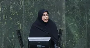 آقای آخوندی بلیت هواپیمای تهران - بوشهر ۸۰۰ هزار تومان است
