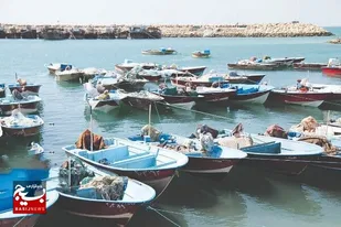 افزایش قدرت موتور قایق های صیادی در خوزستان اجرایی می شود