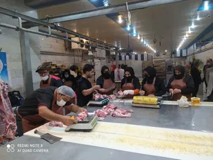 در طرح احسان رضوی ۷۰ راس گوسفند در شاهرود قربانی و گوشت آن&zwnj;ها به نیازمندان اهدا شد+ تصاویر