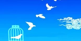 50زندانی زن در آستانه عید نوروز آزاد می شوند
