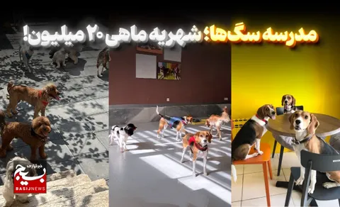 مدرسه سگ‌ها؛ شهریه ماهی ۲۰ میلیون!