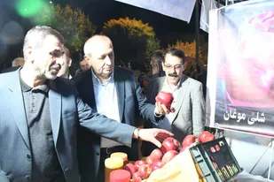 گشایش نمایشگاه سیب در شهرستان مراغه