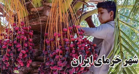 شهر خرمای ایران