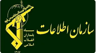 دستگیری عناصرمیدانی تروریست ها و ضرورت هوشیاری مردم