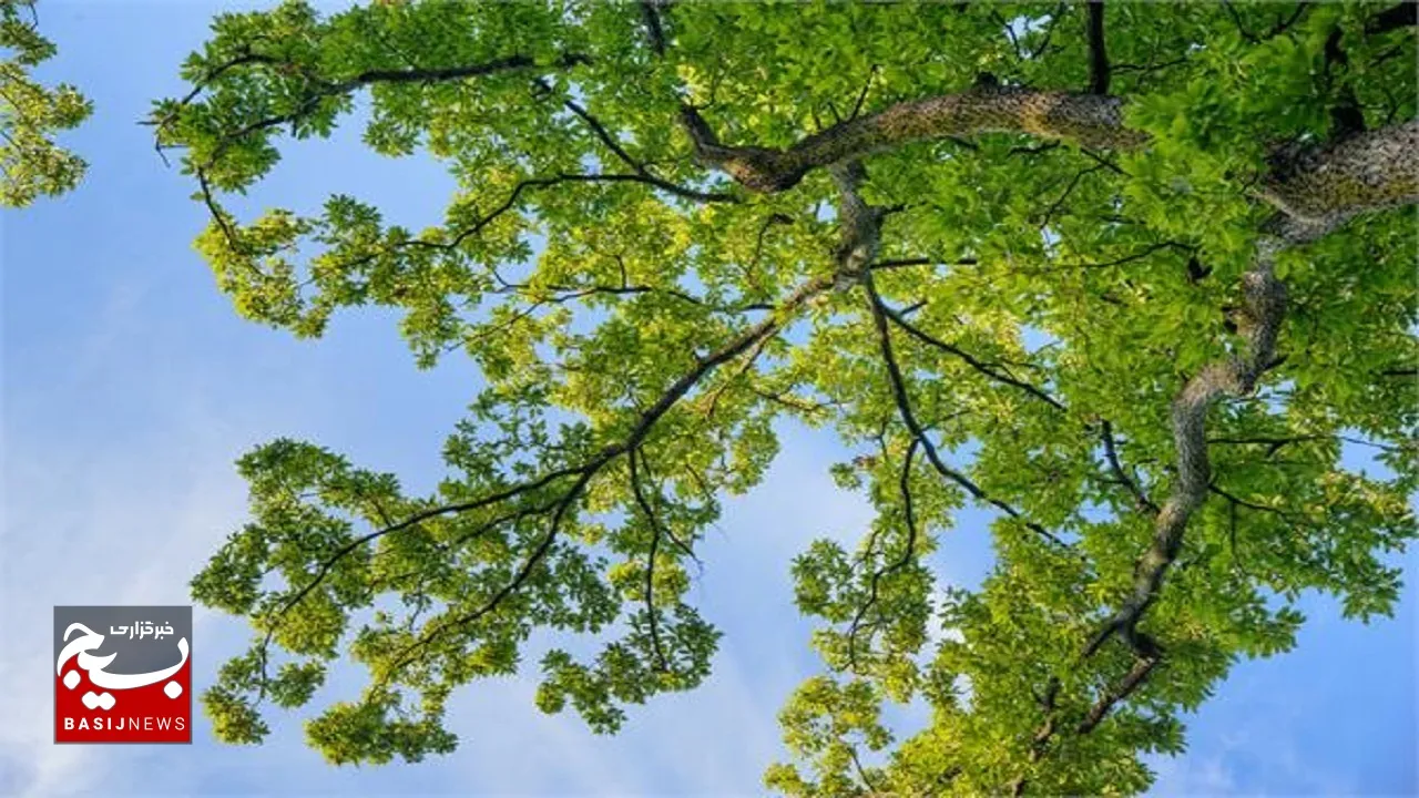 پیش بینی افزایش ۳ تا ۵ درجه‌ای دما در خوزستان