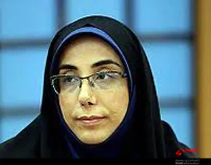 بسته 600 میلیارد تومانی برای توسعه جنوب استان بوشهر