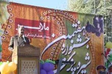 تولید ۲۴۵ هزار تن انگور در ملایر