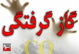 مسمومیت ۲ نفر با گاز مونوکسیدکربن در مشگین&zwnj;شهر