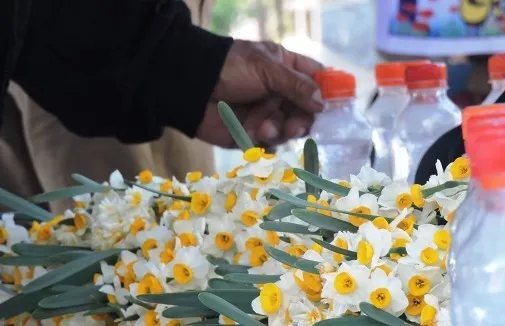 عطرافشانی قبور شهدای شهرستان فارسان