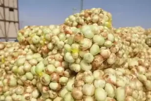 مستند از نفس افتاده