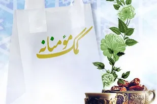 توزیع کمک&zwnj;های مومنانه به همت بسیجیان در روستای توانه نهاوند