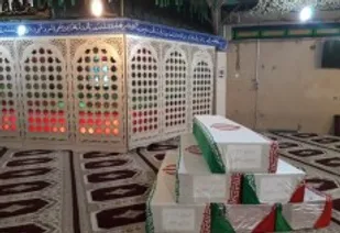 میزبانی از شقایق های خونین جبهه های نبرد