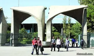 نگاه سیاسی به جریان های آموزشی آسیب رسان است