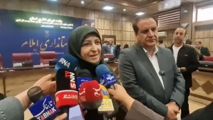 انصاری: تفاهم&zwnj;نامه همکاری محیط&zwnj;زیستی با عراق امضا می&zwnj;شود