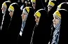 عفاف و حجاب در عصر مدرن صرفاً یک پوشش نیست