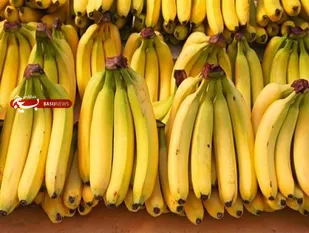 وعده وزارت صمت برای تعدیل قیمت موز