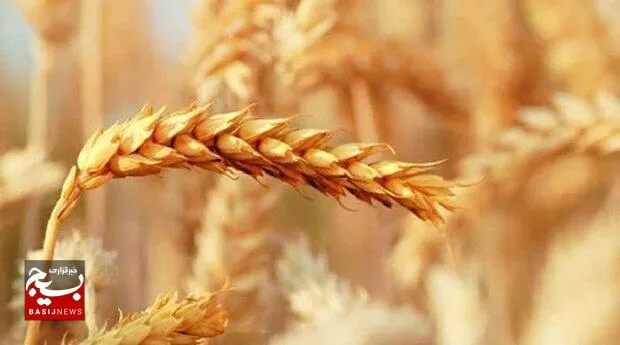 اعزام ۲دستگاه اتوبوس به مراسم سالگرد ارتحال امام خمینی رحمة الله علیه شهرستان باوی