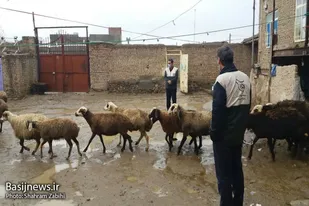 اردوی جهادی بسیج مهندسین سپاه ملایر در روستای علوی