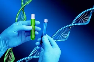 مارهای ایرانی جزء ذخایر ژنتیکی طبیعی است و نباید از کشور خارج شود