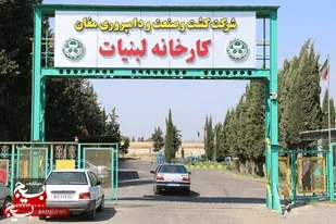 صادرات محصولات کشت و صنعت مغان برندسازی شد